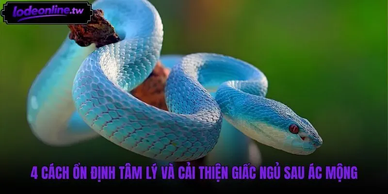 Giải pháp xoa dịu tâm lý sau giấc mơ thấy rắn