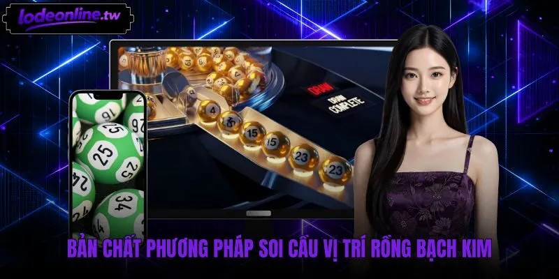 Bảng thống kê mô tả kết quả lịch sử Rồng Bạch Kim
