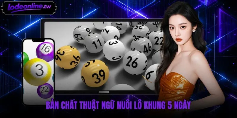 Quy ước nuôi lô khung 5 ngày và chu kỳ thống kê