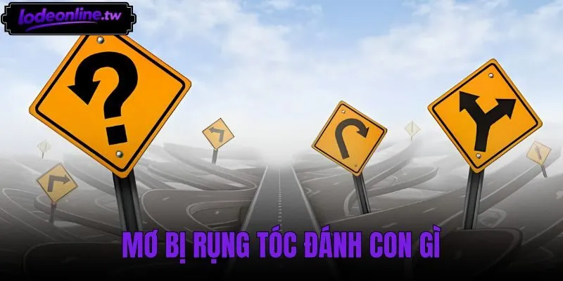 Mơ Bị Rụng Tóc Đánh Con Gì - Điềm Báo Và Bộ Số May Mắn
